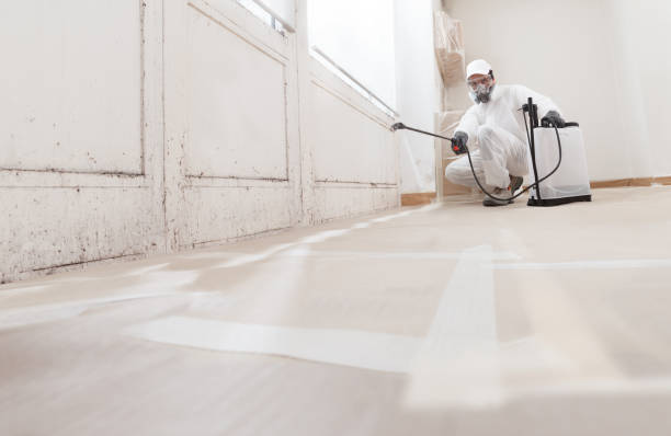 24/7 Emergency Commercial Mold Remediation experts in Escobares, TX